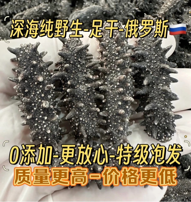 足干！16-20倍俄罗斯干海参 原货无添加 营养价值高