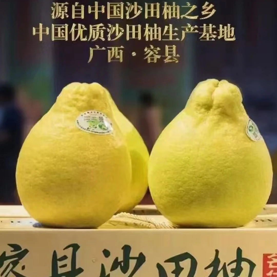 正宗广西容县沙田柚30-50斤山坡上老树果纯甜无酸（蛇皮袋发货）