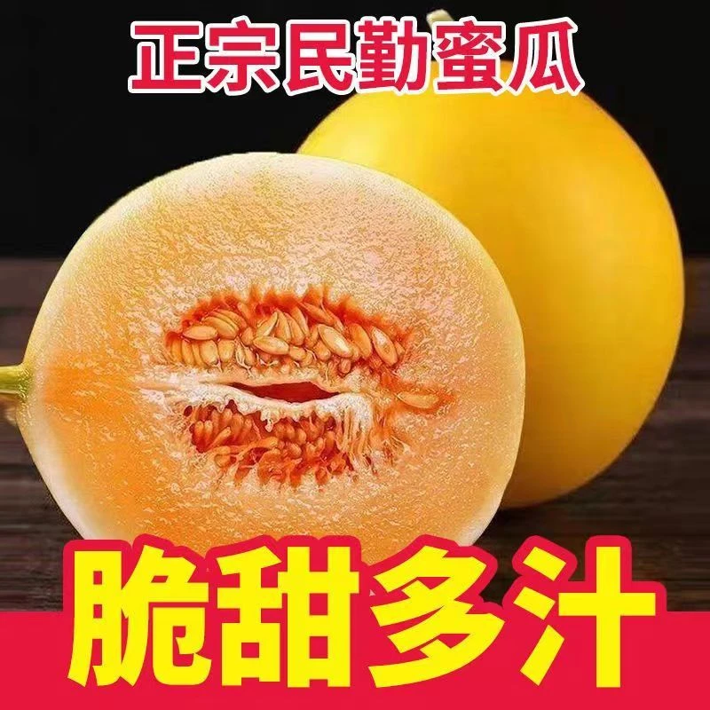 【净重4.5斤以上2个瓜】正宗沙漠蜜瓜民勤黄河蜜瓜现摘现发