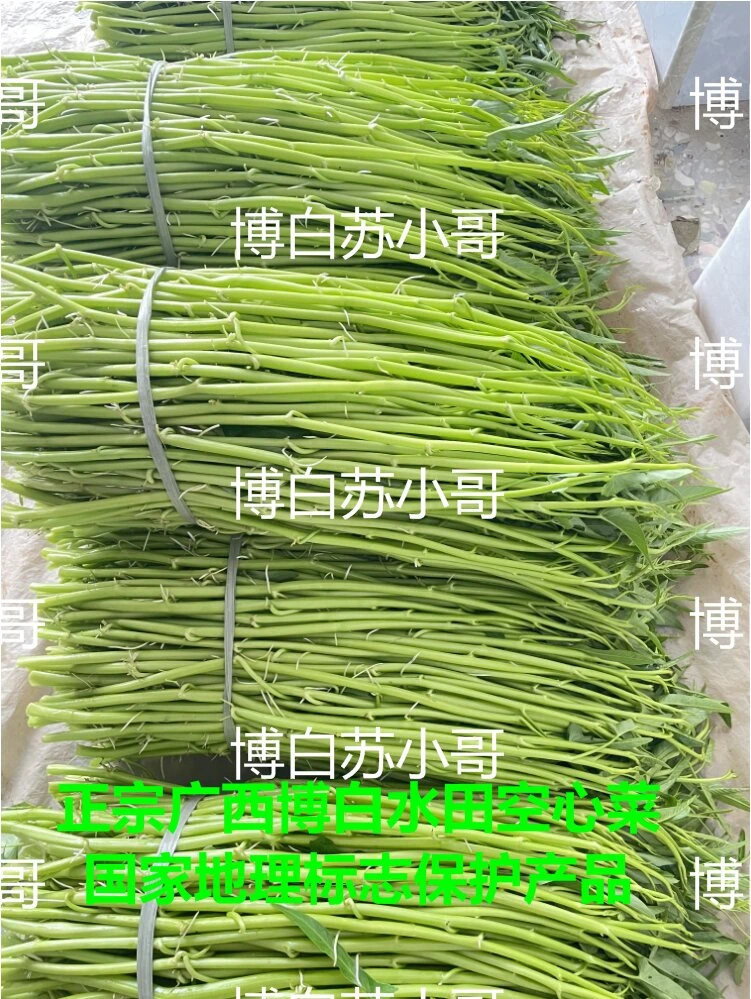 正宗博白空心菜1-5斤