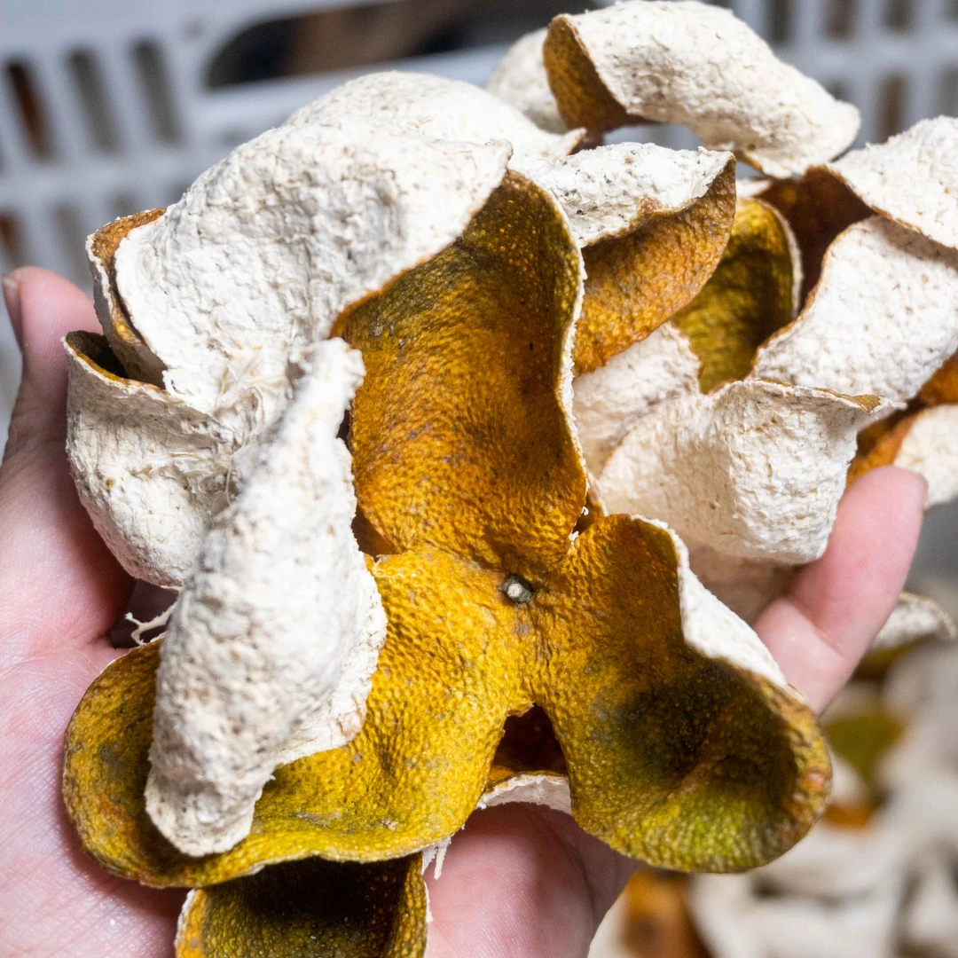 东甲2023纯圈500克 新会陈皮