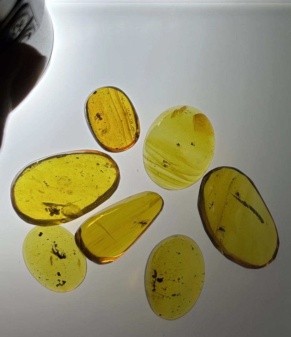 琥珀虫珀科普虫珀标本30一枚随机发