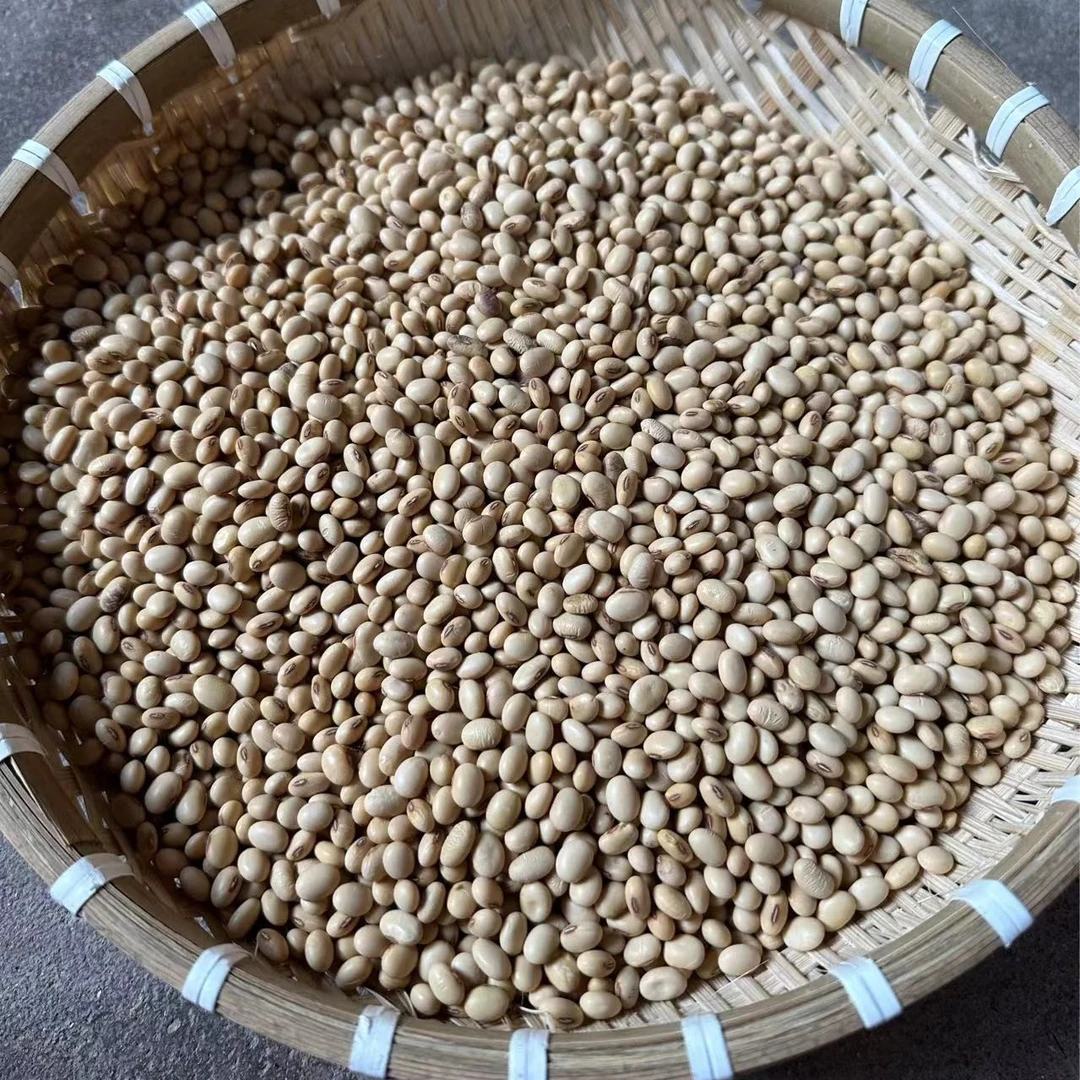 本地黄豆广宁黄豆新鲜农家黄豆