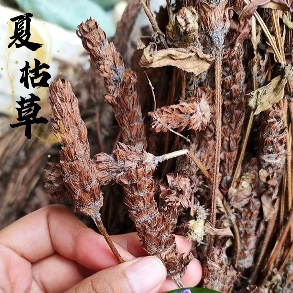 正宗广宁夏枯草干货 白毛夏枯球蔻带花全草切断