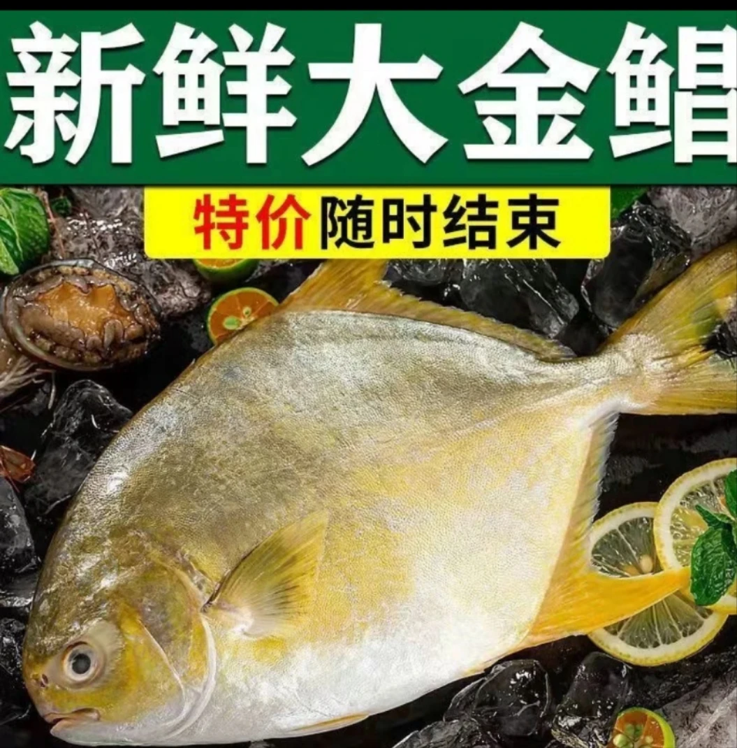 深海金鲳鱼每条《400克到500克有冰衣》到手3条
