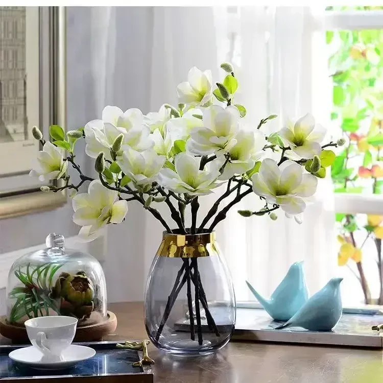 【遇水开花】水培玉兰花卉室内水培客厅办公室内鲜切枝条桃花绿植