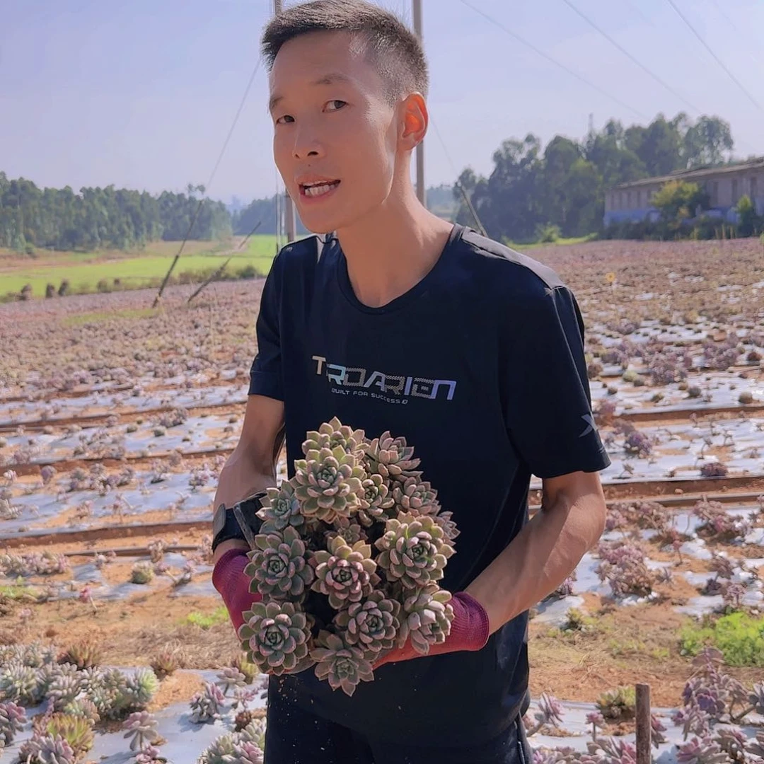 地栽璀璨多肉多肉