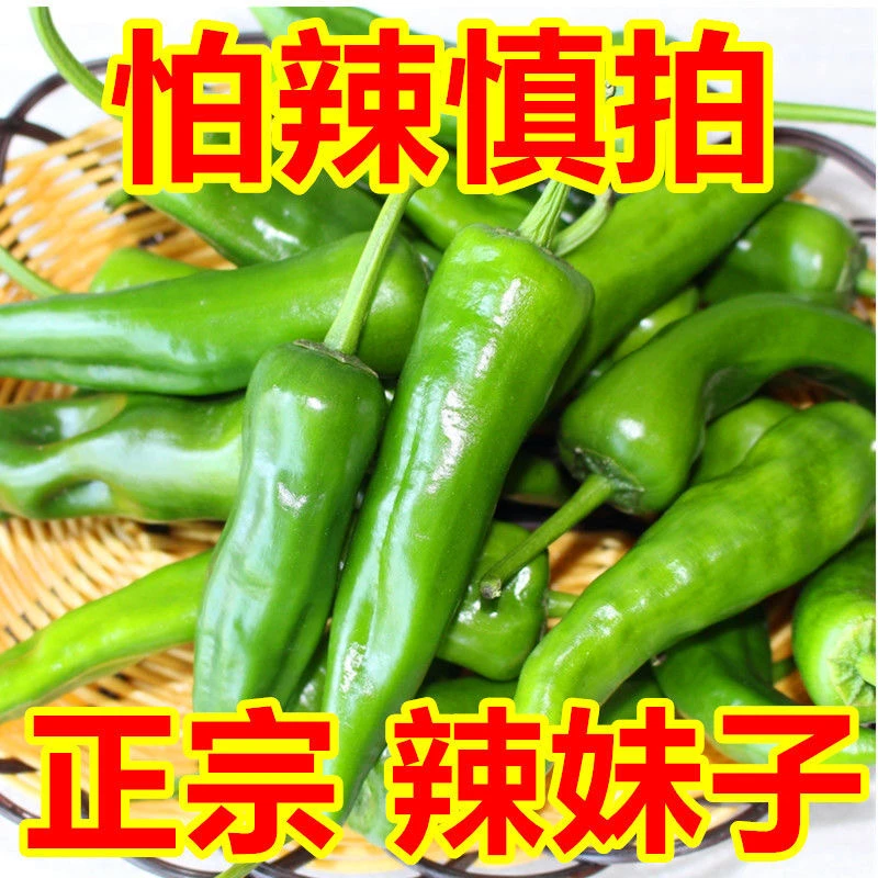 【5斤】东北辣妹子辣椒