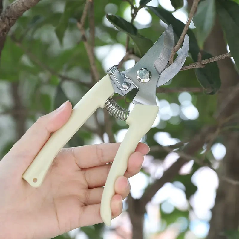 果树剪刀树枝修枝剪园艺剪修花工具疏果修果树果园园林修剪粗枝剪