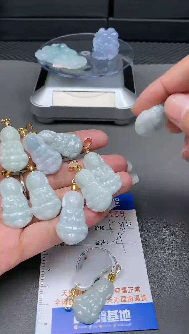 【闪购商品】翡翠颈饰未镶嵌0075169多样性