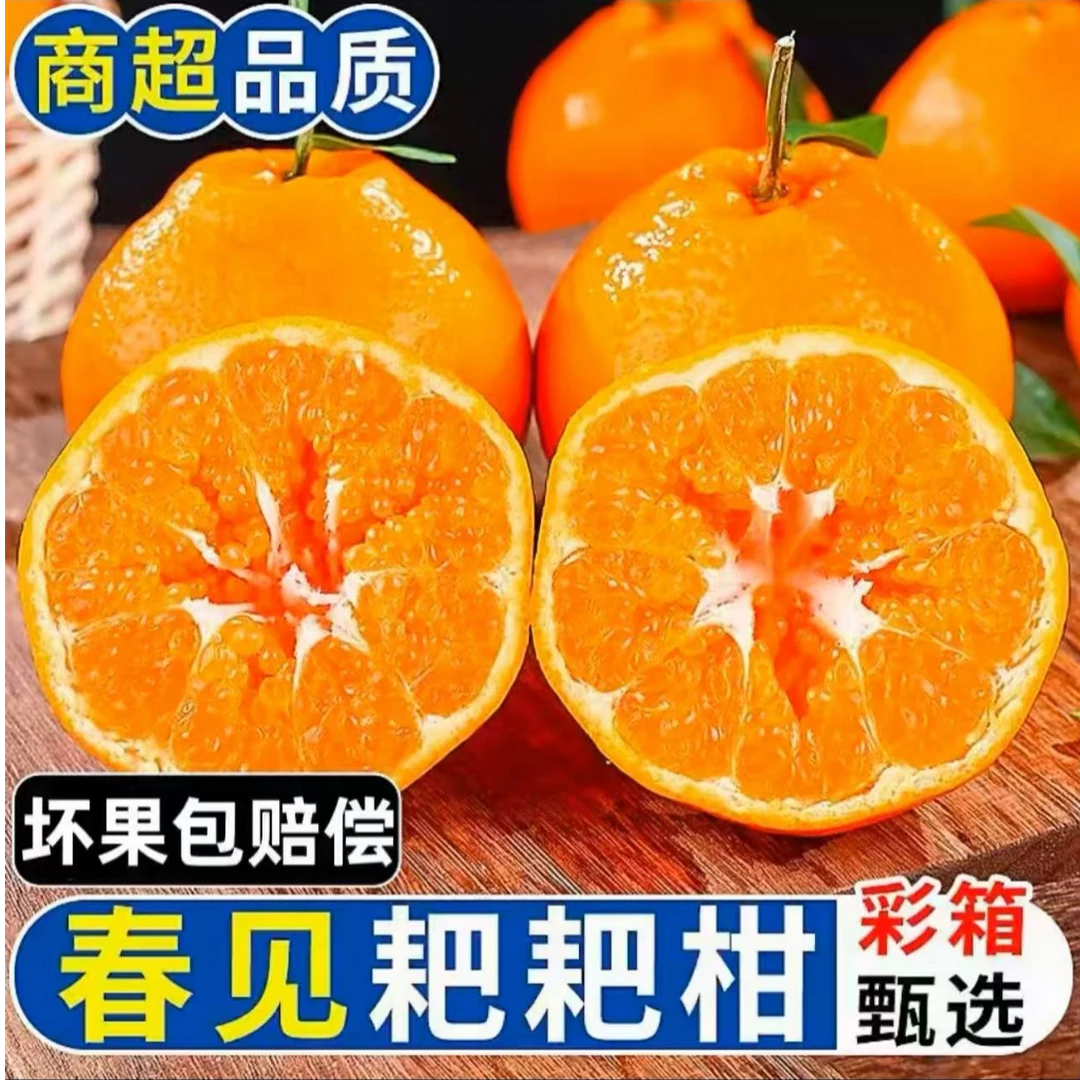【四川】春见耙耙柑4.5斤装当季新鲜水果柑橘香甜产地直发