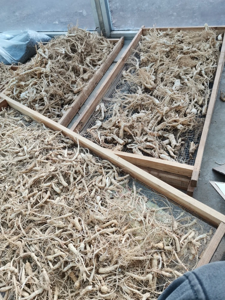 干人参一斤/林下参实惠款不精美有瑕疵残参不完整自己煲汤煮水