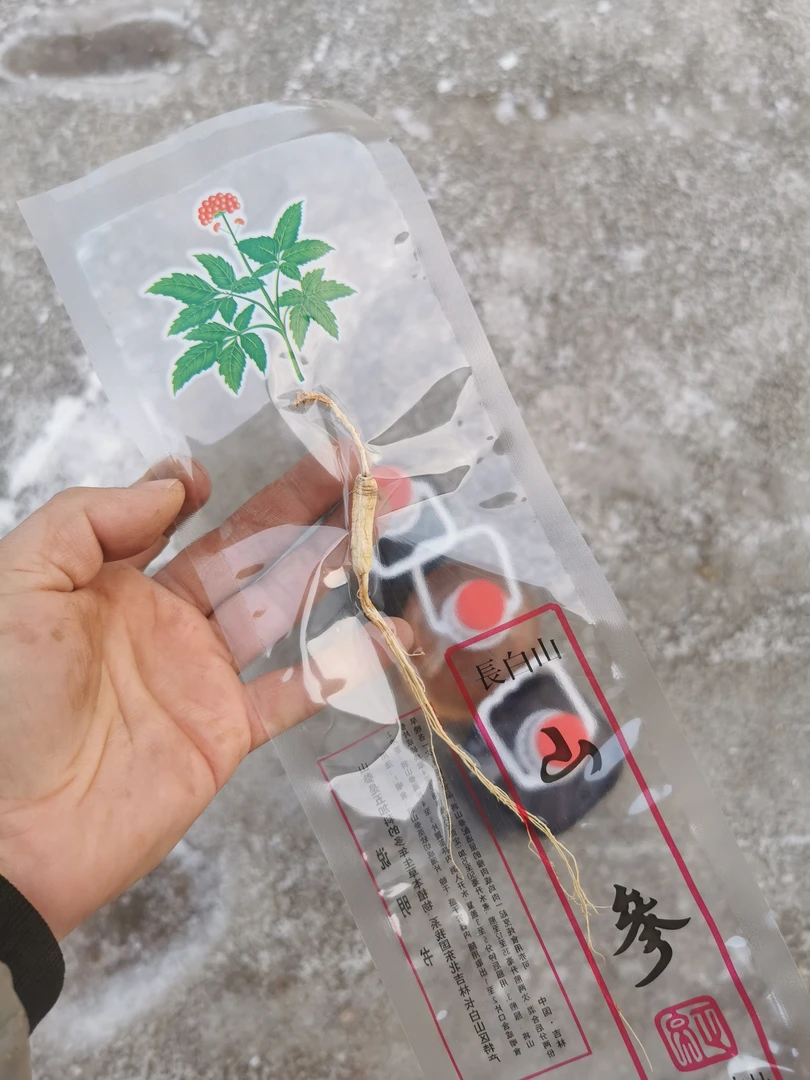 人参一支/长白山人参
