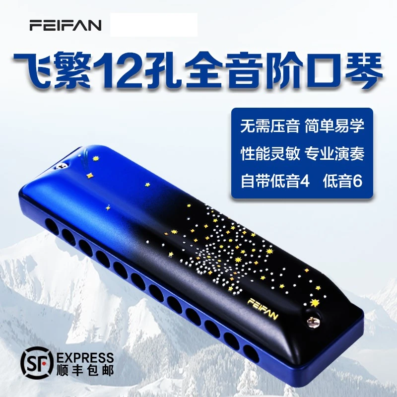 FEIFAN飞繁12孔布鲁斯口琴初学者成人带低音FALA蓝调专业演奏级