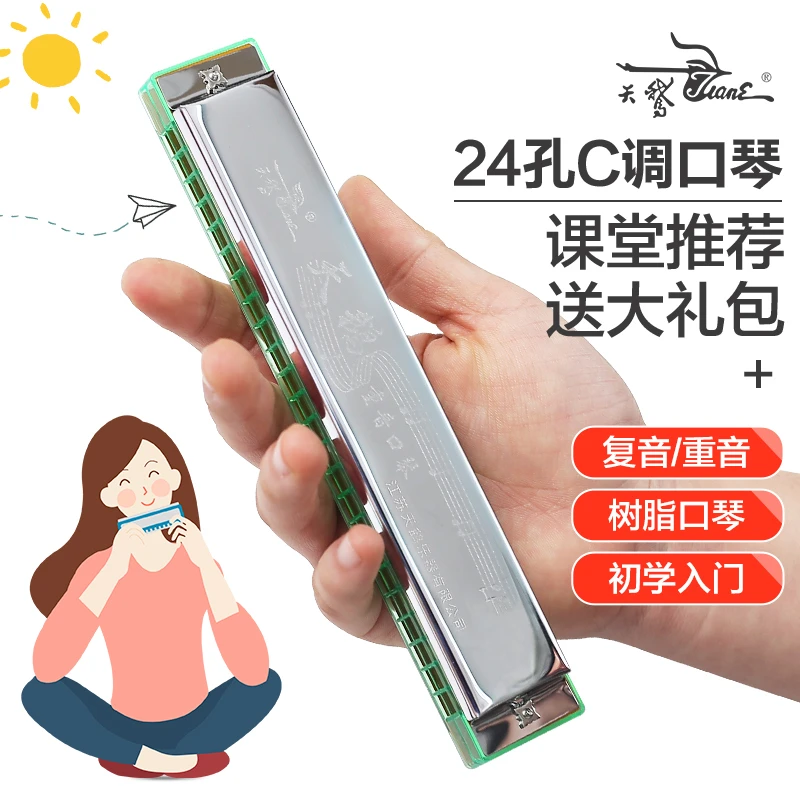 天鹅口琴初学者学生24孔入门儿童复音成人专业重音C调口风琴乐器