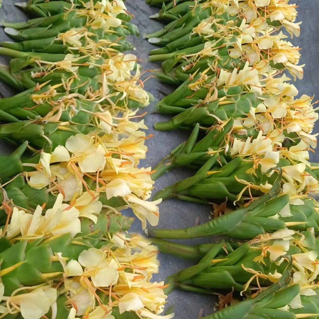 贵州干货草果花正宗草果花炖汤鲜美农家草果花干花果清香煲汤味道