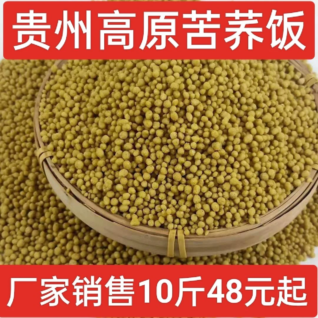 贵州威宁特产苦荞饭米苦荞麦米饭荞疙瘩乔荞麦饭五谷粗粮杂粮批发