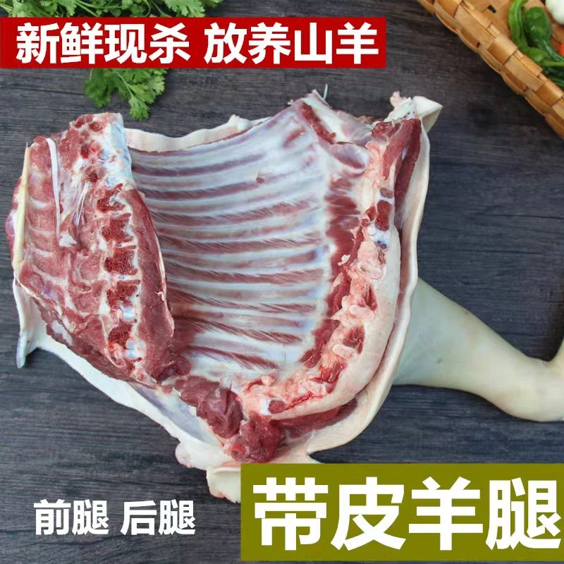 带皮羊前腿农家散养新鲜带皮羊肉直播间现场称重链接