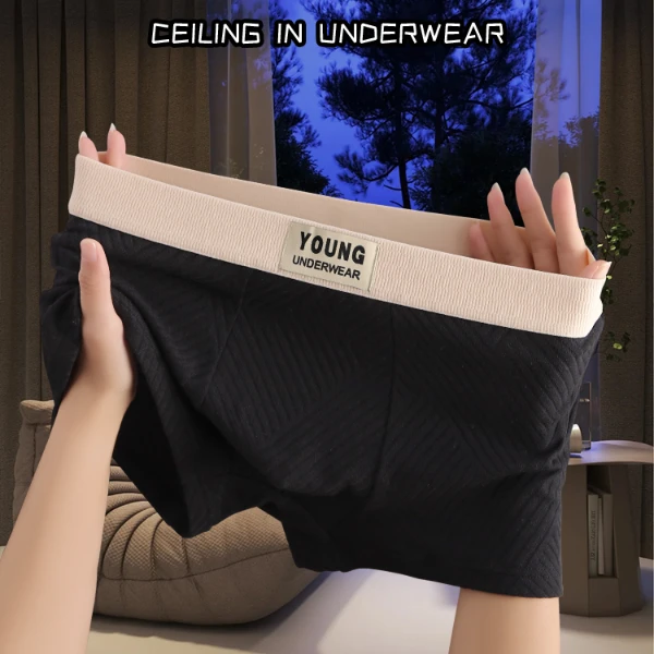 爆款轻奢纯色棉质男士内裤简约男生运动透气短裤时尚青年平角裤