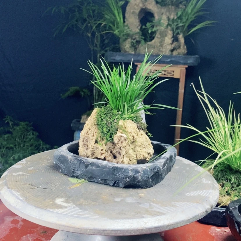 【闪购商品】稳****桃11111111111111111