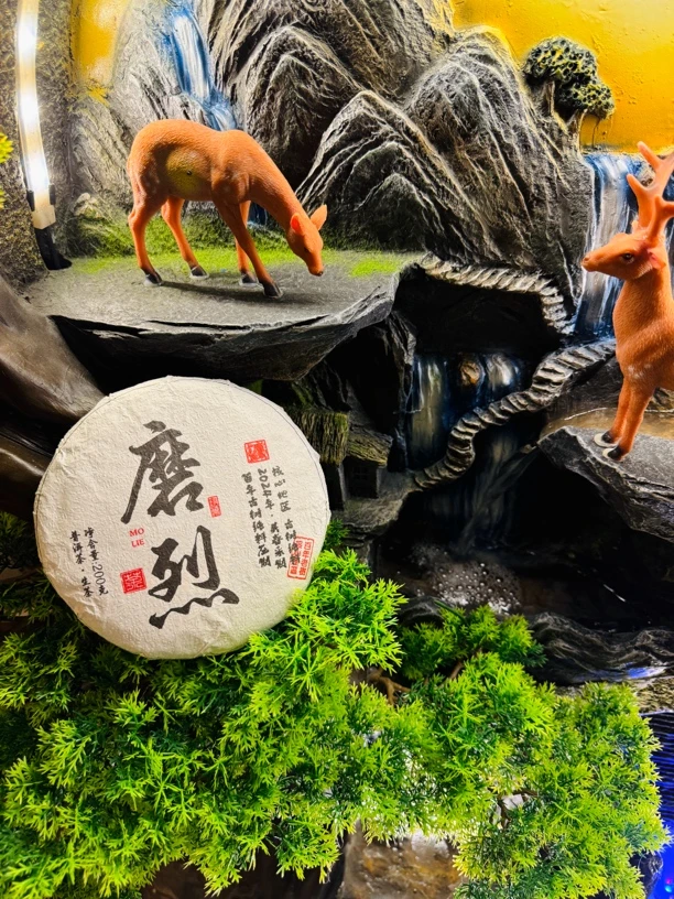 2024年磨烈普洱生茶