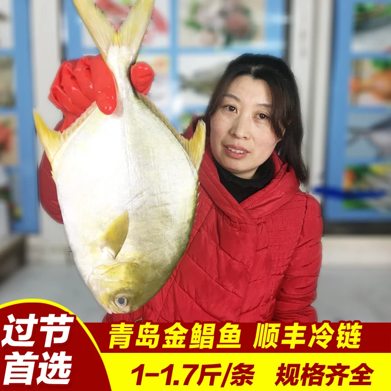 金鲳鱼新鲜冷冻鲜活海鲜水产鲜海鱼金昌鱼大深海鱼500g