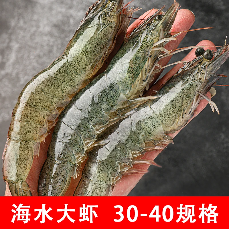 拍2单减5元30-40规格净大虾3斤约48只鲜活急冻海水白对虾青虾