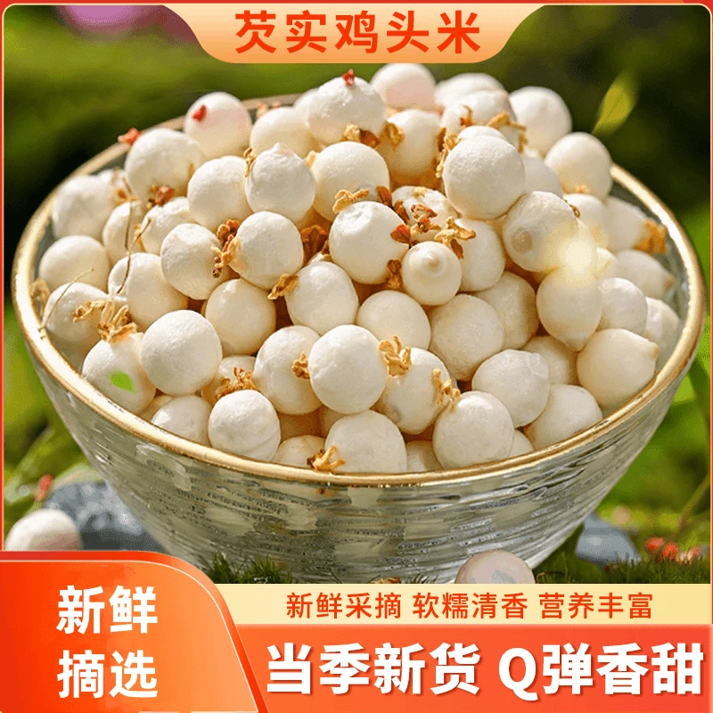 【凉茶】芡实鸡米头新鲜现摘芡实 三伏天凉茶靓汤清爽酥软底料