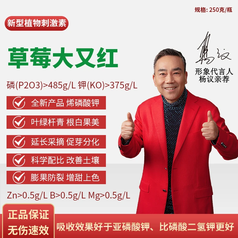 草莓大又红草莓专用增甜控旺控梢抗病增产增甜上色烯磷酸钾肥料