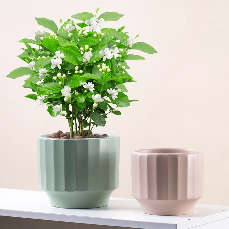 新款陶瓷花盆北欧ins风简约款郁金香蝴蝶兰专用大号花盆厂家直销