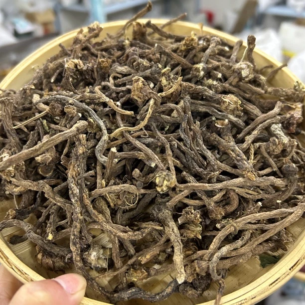 【野蒲公英根】河南农户野外采挖 晒干 根部有微土150g包邮非山药