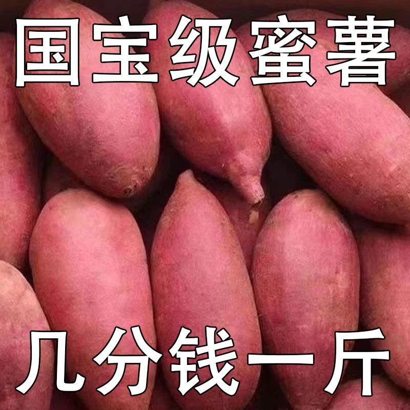 【抢购中】新鲜沙地西瓜红蜜薯番薯1-9斤红薯地瓜板栗薯小香薯紫薯