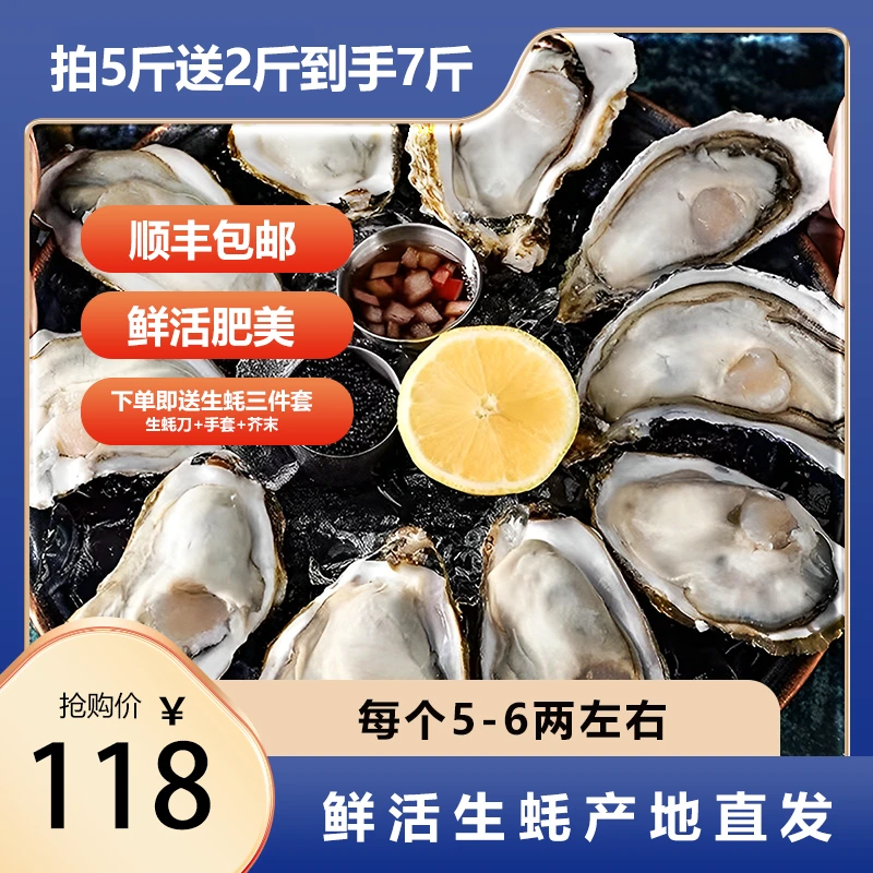 生蚝5-6两鲜活海鲜海牡蛎海蛎子带壳（保证新鲜不包活介意慎拍）