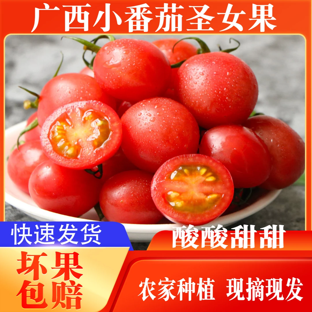 【爱心助农】酸酸甜甜广西百色圣女果5斤农家种植当季新鲜果蔬番茄