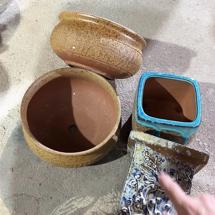 红陶20CM以下花盆花开了