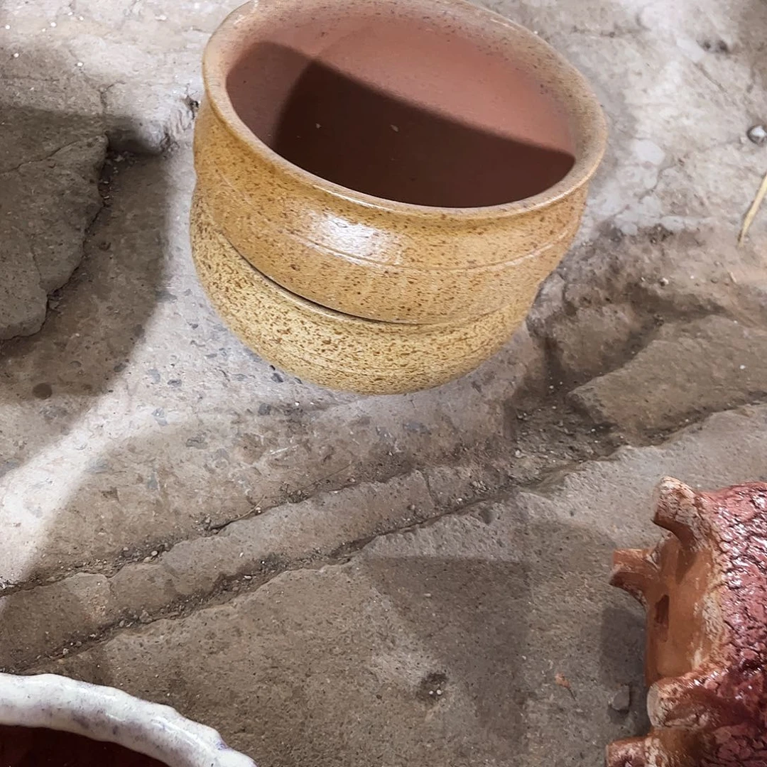 红陶20CM以下花盆花开了