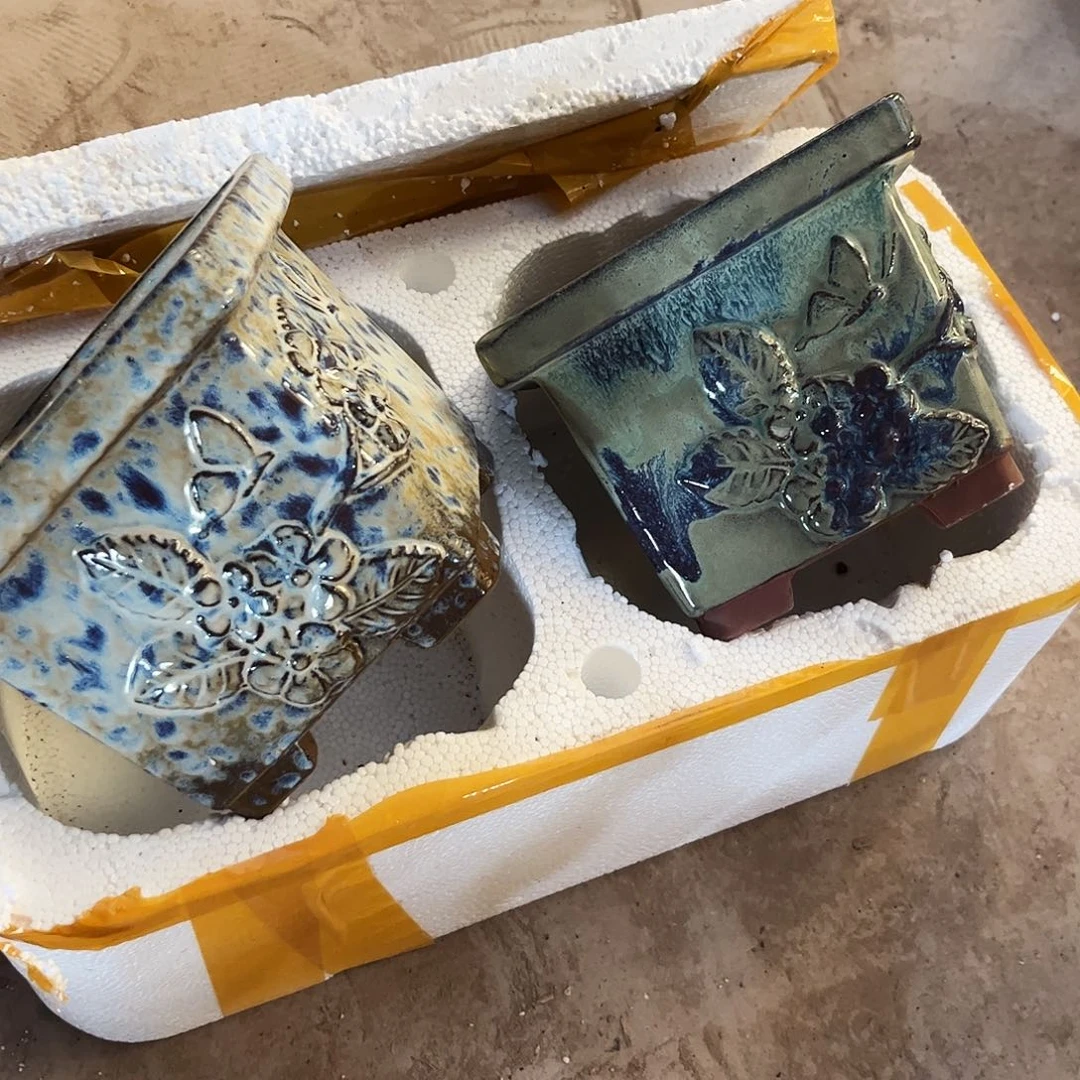 红陶20CM以下花盆花开