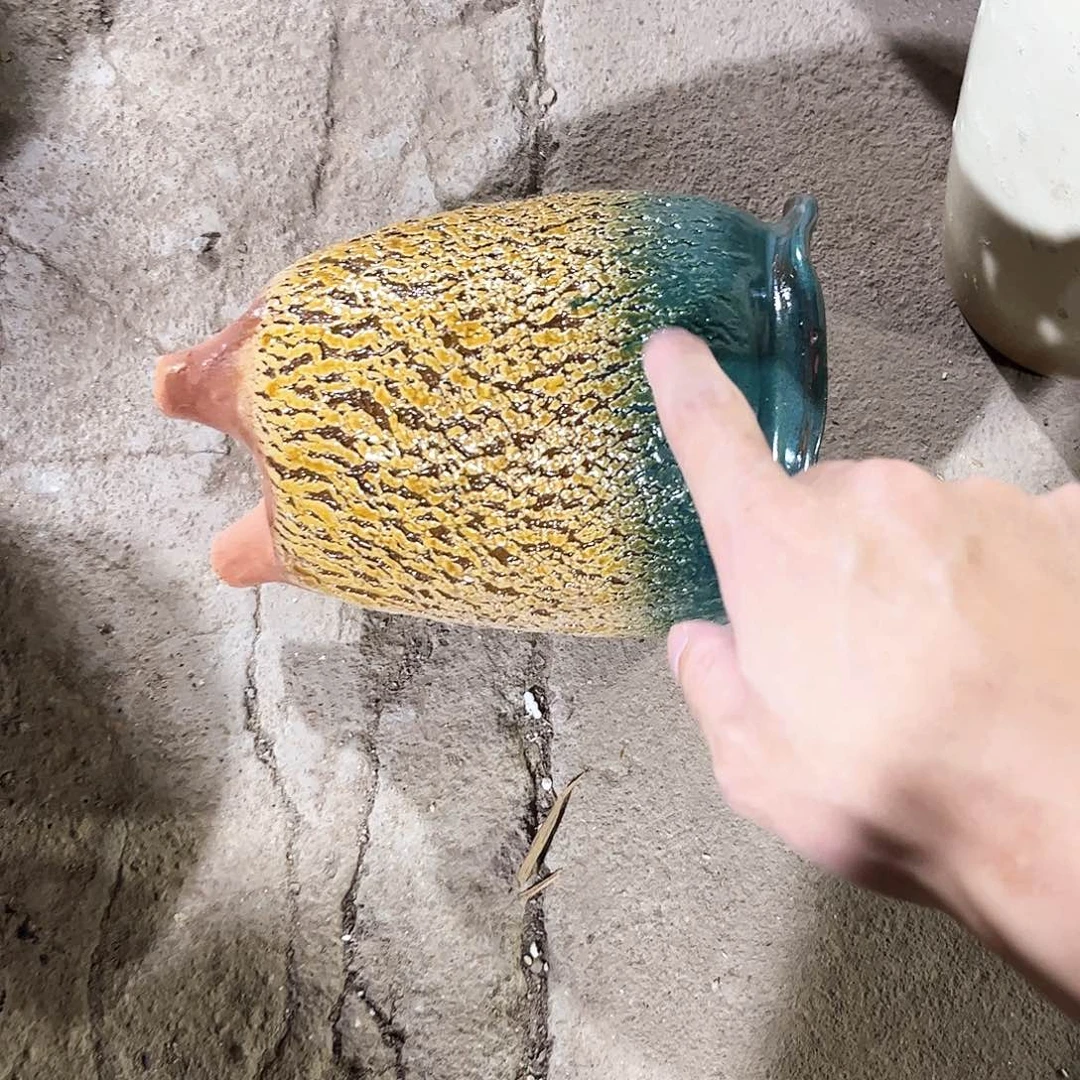 红陶20CM以下花盆花开了