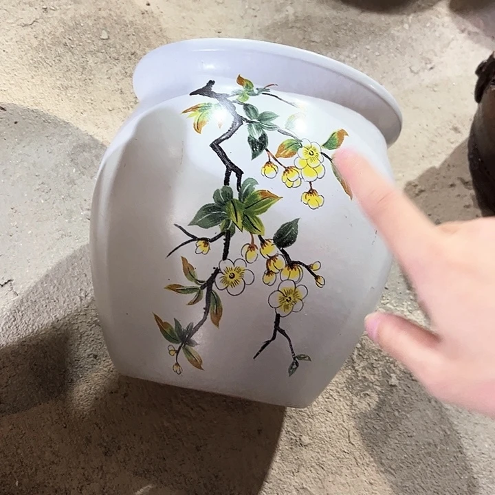 红陶20CM以下花盆花开