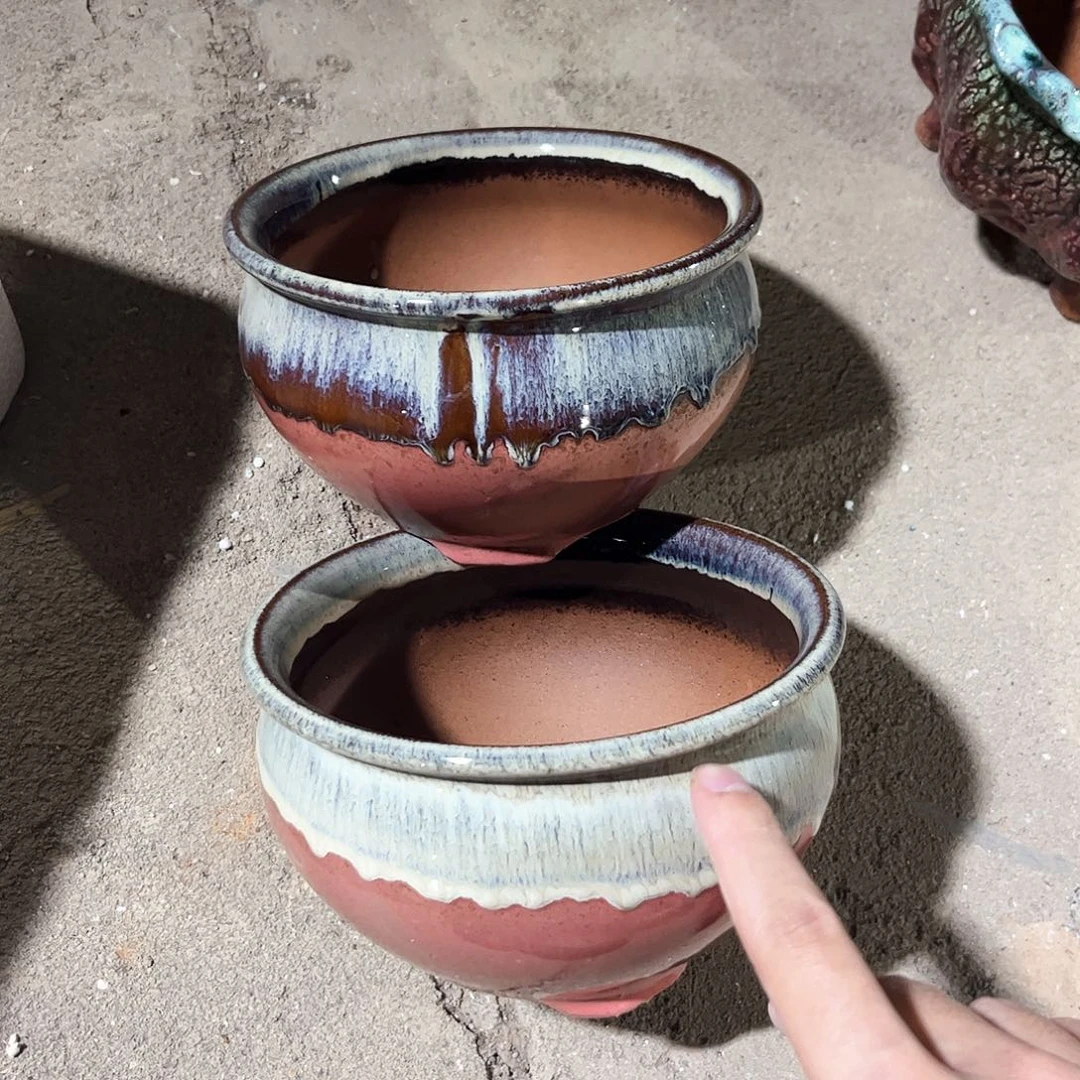 红陶20CM以下花盆花开了