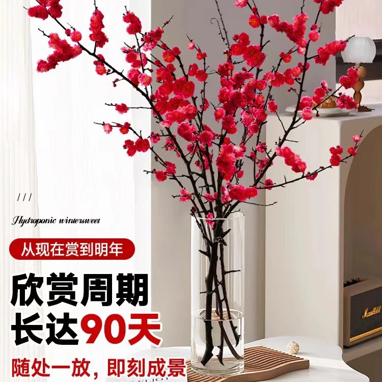 水培红梅花鲜桃花树干枝鲜花室内花卉雪柳盆栽植物客厅阳台开花