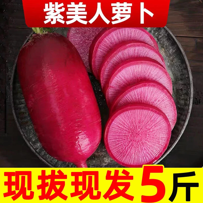 紫美人水果萝卜凤梨萝卜新鲜甜脆冰激凌潍坊红心萝卜3斤/5斤