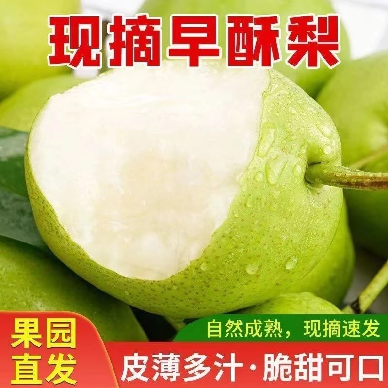 陕西早酥梨3斤新鲜水果应季脆甜皮薄香梨产地直发酥脆整箱包邮