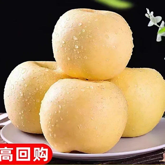F正宗烟台黄金奶油富士苹果正宗冰糖心水果新鲜当季现摘1000g