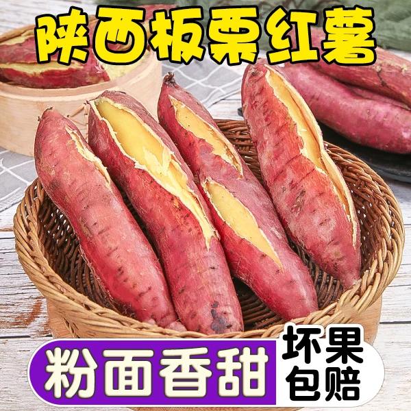 新鲜板栗红薯2/5/9斤干面粉甜香烤地瓜蒸番薯陕西沙地现挖现发