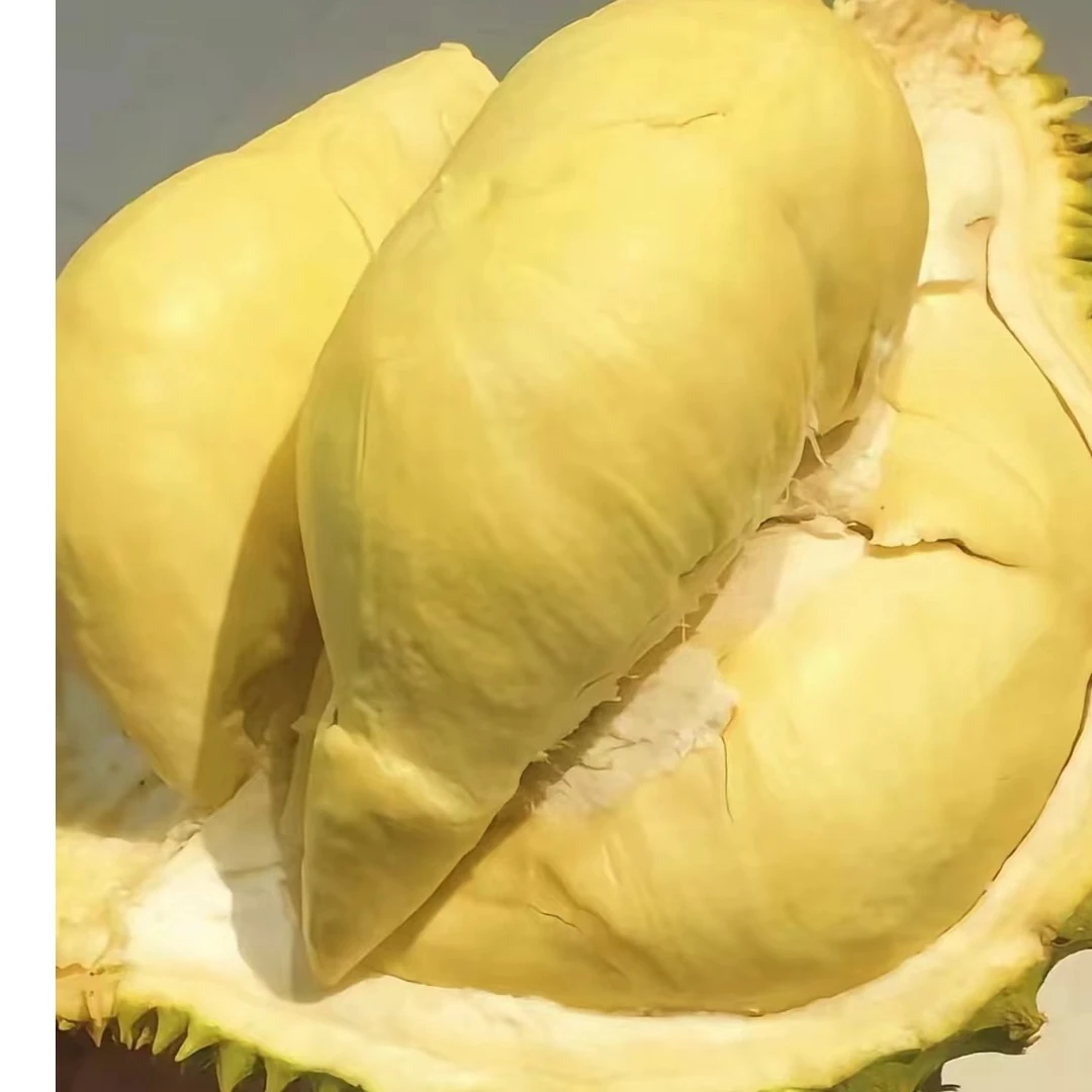m【现开500g纯果肉】AA级泰国榴莲干包黄肉肉厚皮薄软糯香甜昆明同城小时达