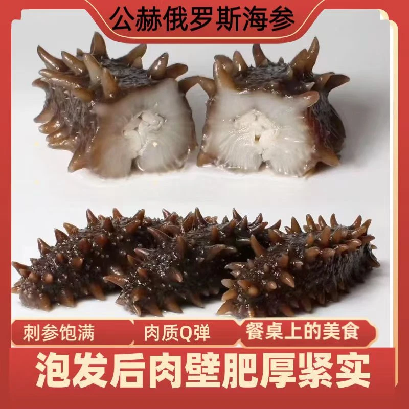 即食海参2斤家庭装俄罗斯进口深海野生海参冷冻顺丰包邮营养丰富