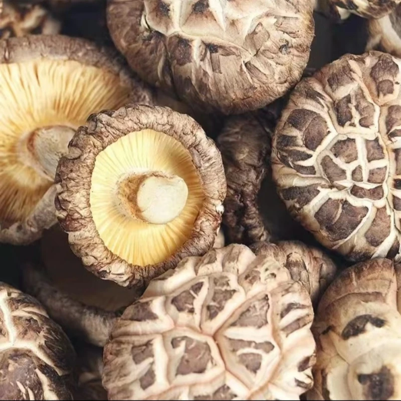 【本地土特产】农家种植深山干花菇肉质紧实食用菌菇香菇Q弹软糯