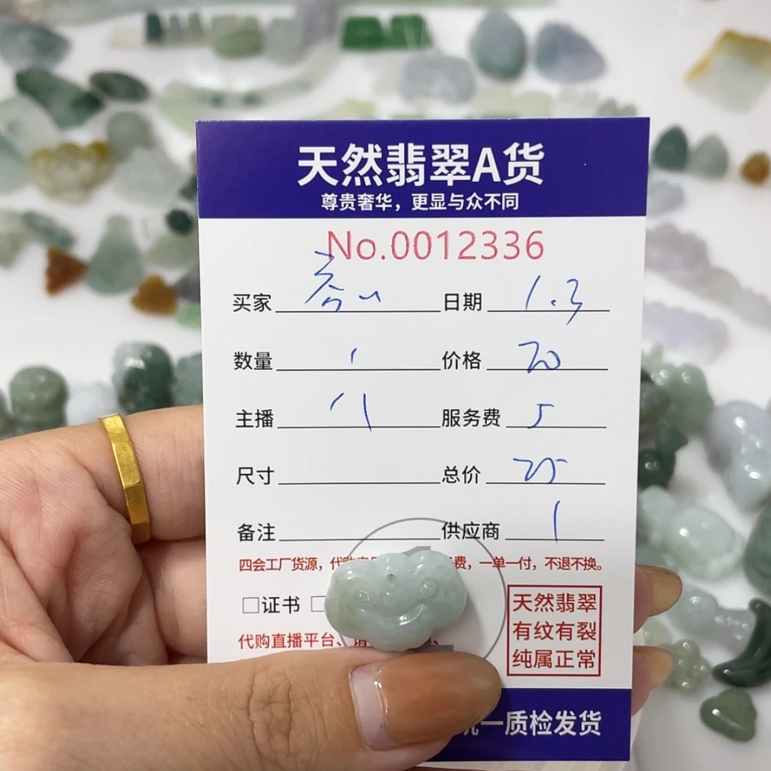 【闪购商品】翡翠颈饰未镶嵌吞**勾