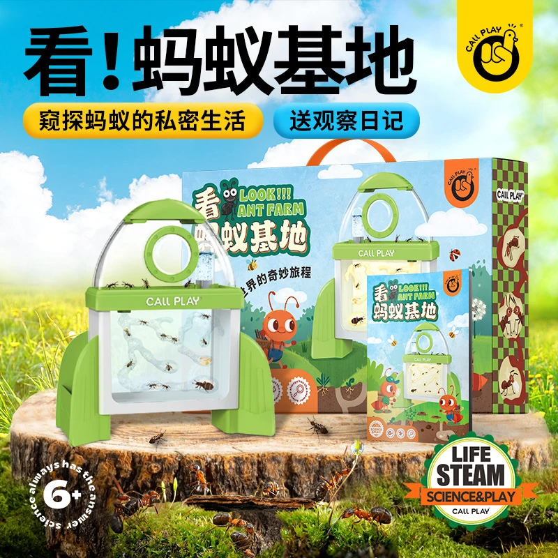 科答鸭儿童蚂蚁基地生态工坊活体小动物昆虫幼儿园发现蚂蚁观察盒